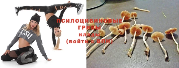 спиды Нефтекумск