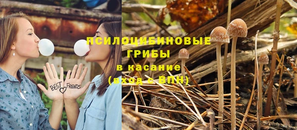 молекула духа Нефтегорск