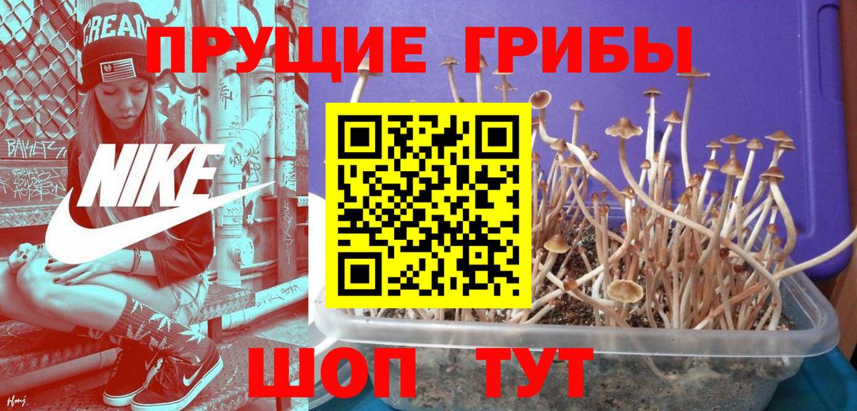 Отрадное  Галлюциногенные грибы прущие грибы  Псилоцибиновые грибы Cubensis  Вход с VPN 