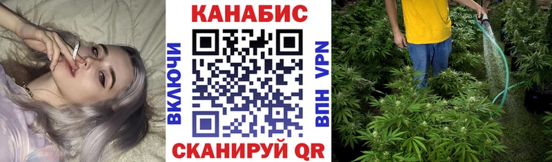 нарко площадка официальный сайт  Отрадное  Шишки марихуана VHQ 